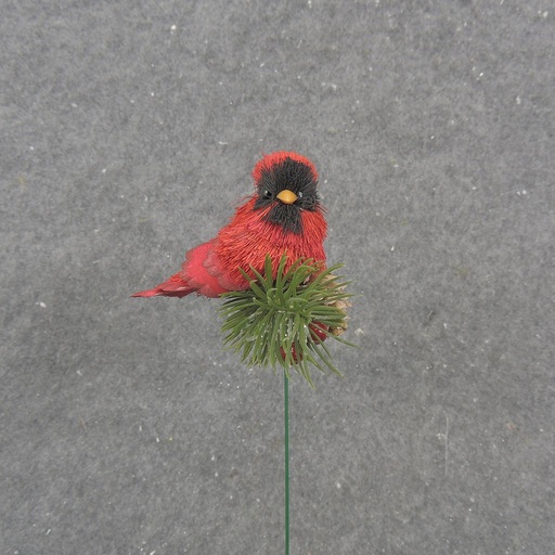 [XH0000] 3" SISAL CARDINAL ON A PICK WITH PINE