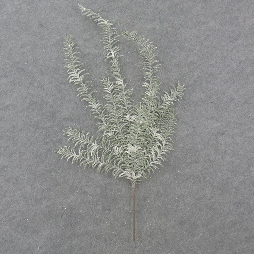 [XB0010] 29" FROSTED PINE BUSH x11