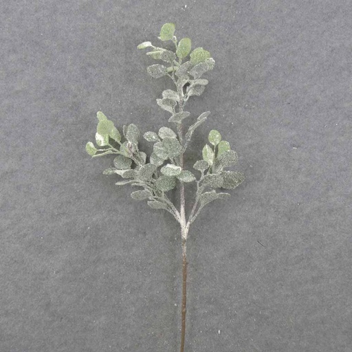 [XB0019-SNO] 30.5" SNOWY EUCALYPTUS STEM