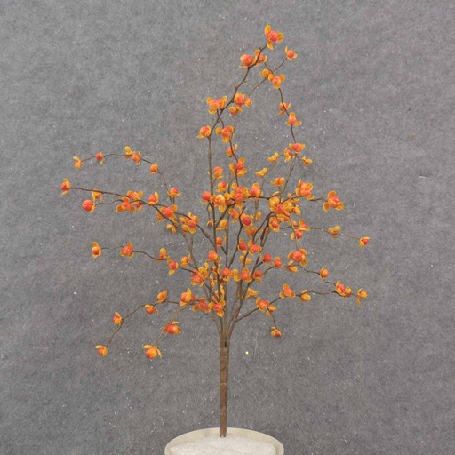 [SBF0001] 16" BITTERSWEET BUSH X5