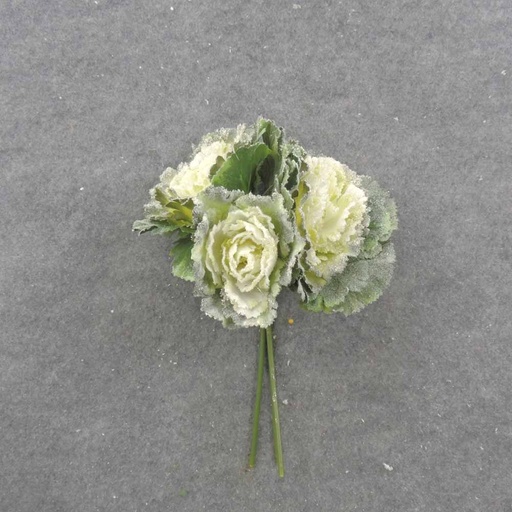 [XB0002-CRM] 12" FROSTED CABBAGE PLANT BUNDLE X3 CREAM