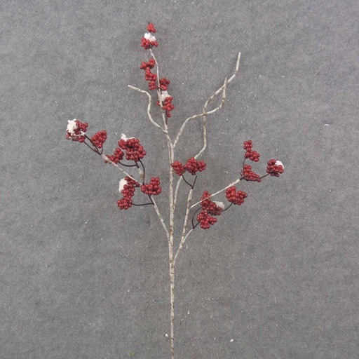 [XA0011] 31" BIRCH TWIG SPRAY W/RED BERRIES