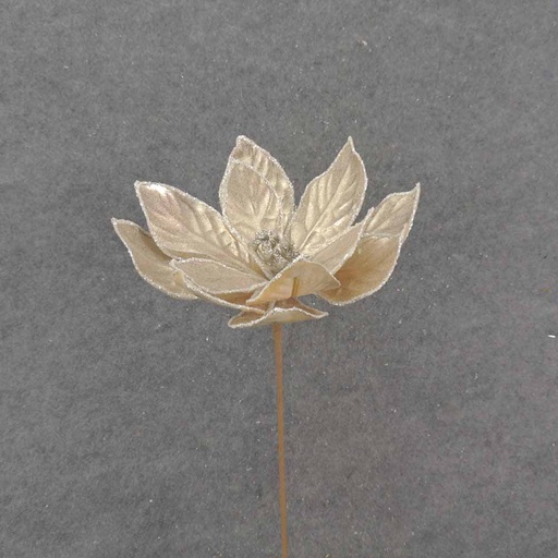 [XA0049] 20" CHAMPAGNE POINSETTIA PICK