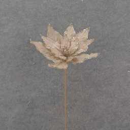 [XA0050] 20&quot; CHAMPAGNE POINSETTIA PICK W/GLITTER