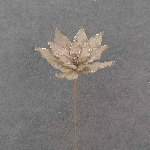 [XA0050] 20" CHAMPAGNE POINSETTIA PICK W/GLITTER