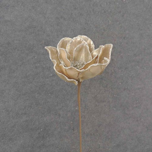 [XA0054] 20" CHAMPAGNE MAGNOLIA BLOOM PICK