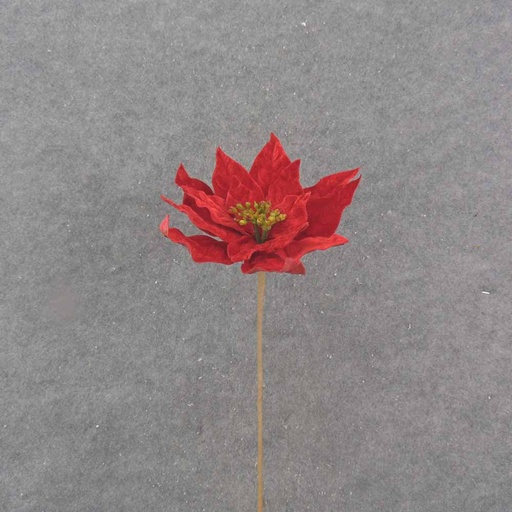 [XA0057] 20" RED POINSETTIA PICK