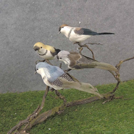 [BN0100-NTL] 6.5" NEUTRAL FEATHER BIRD ASSORTMENT 4-ASST W/CLP
