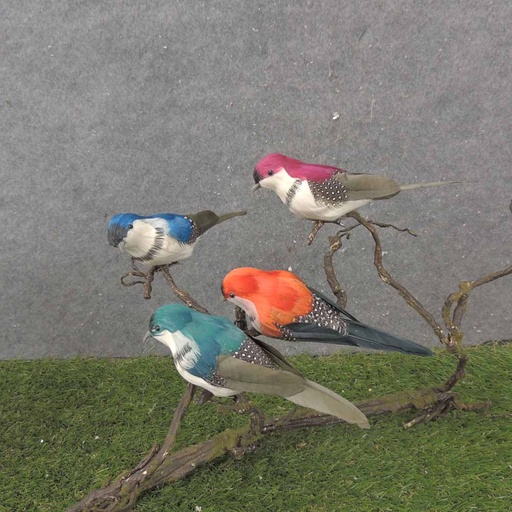 [BN0100-PRI] 6.5" FEATHERED BIRD ASSORTMENT 4-ASST W/CLP