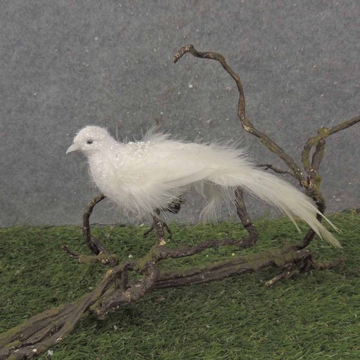 [BN0107] 9" WHITE DOVE W/FEATHER TAIL W/CLP
