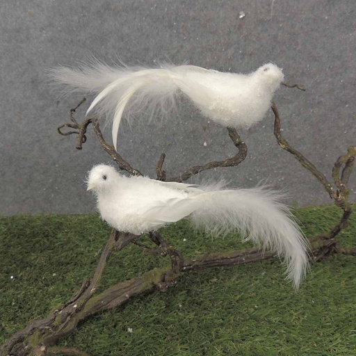 [BN0108] 6.5" MUSHROOM DOVE W/FEATHER TAIL FLOCKED W/CLP