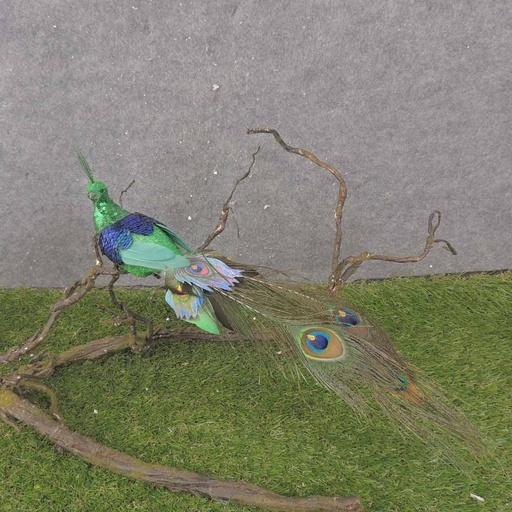 [BN0109-GRN] 16" GREEN PEACOCK W/NATURAL TAIL
