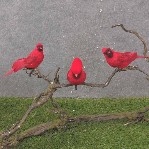 [BN0113] 5" MUSHROOM CARDINAL W/FEATHER TAIL W/CLP