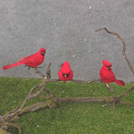 [BN0115] 5" MUSHROOM CARDINAL 3-ASST W/CLIP