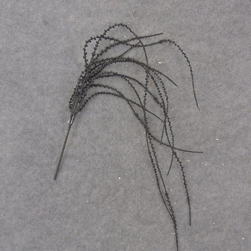 [XB9013-BLK] HANGING GLITTER VINE 32" BLACK