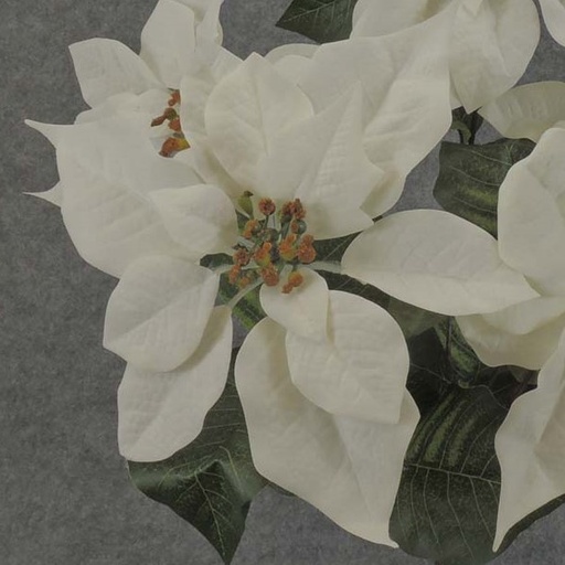 [XE5009-WHT] POINSETTIA PICK 10" DIA. VELVET WHITE