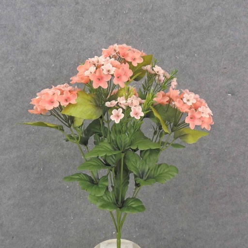 [SB1005-SAL] 17" WAXFLOWER BUSH X10 SALMON