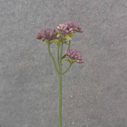 [SE1026-LAV] 11.5" SEDUM STEM X5 LAVENDER
