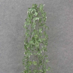 [SE1030-VAR] 48" HANGING IVY BUSH X5 VARIGATED (PLASTIC)