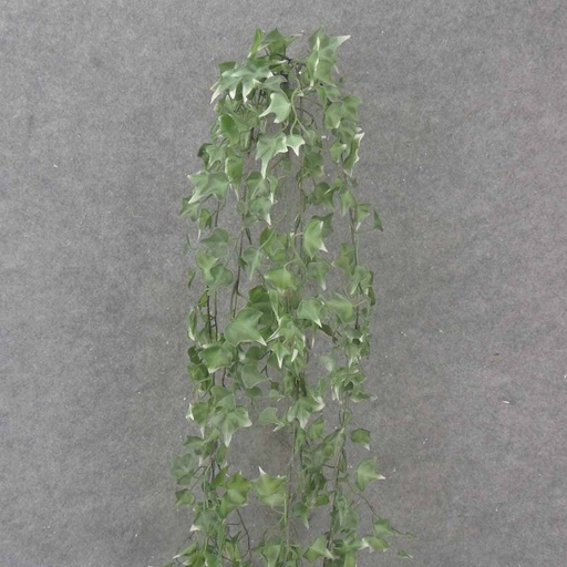 [SE1030-VAR] 48" HANGING IVY BUSH X5 VARIGATED (PLASTIC)