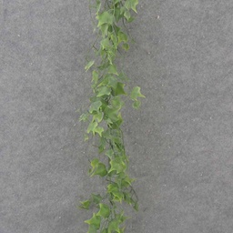 [SE1033-GRN] 6' IVY GARLAND GREEN (PLASTIC)