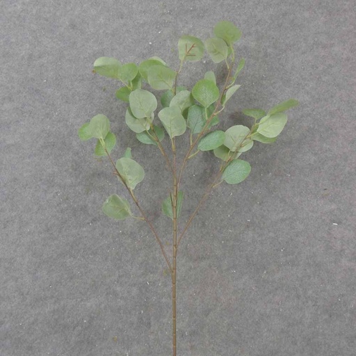 [SB1042-GRN] 32" SILVER DOLLAR EUCALYPTUS SPRAY X5 GREEN