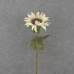 [SB1043] 28&quot; CREAM/WHITE SUNFLOWER STEM