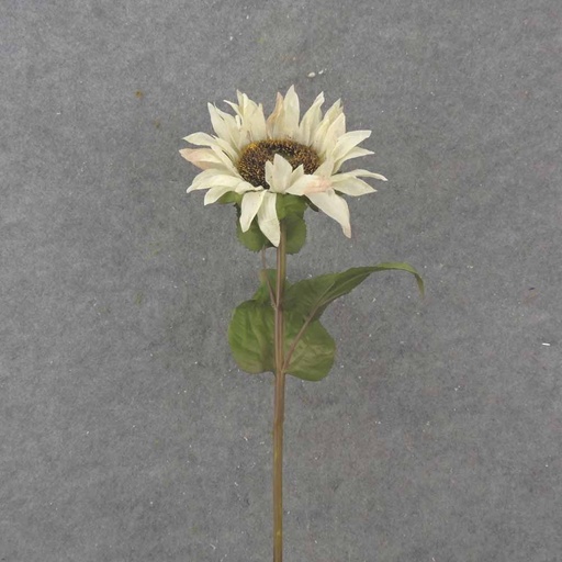 [SB1043] 28" CREAM/WHITE SUNFLOWER STEM