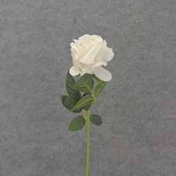 [SB1046-CWH] 20" OPEN ROSE STEM CREAM/WHITE