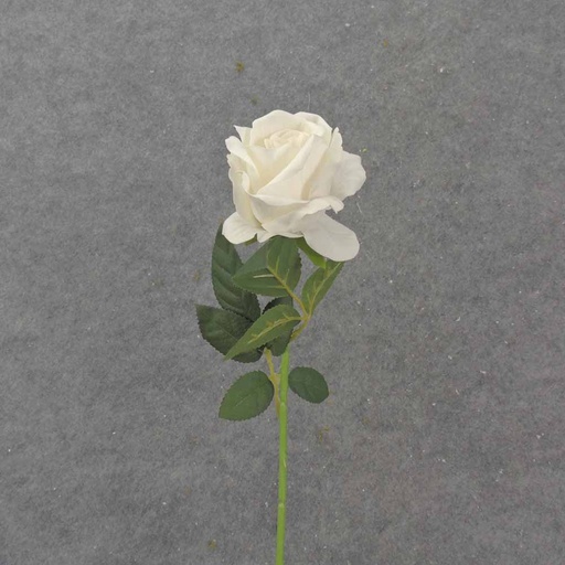 [SB1046-CWH] 20" OPEN ROSE STEM CREAM/WHITE