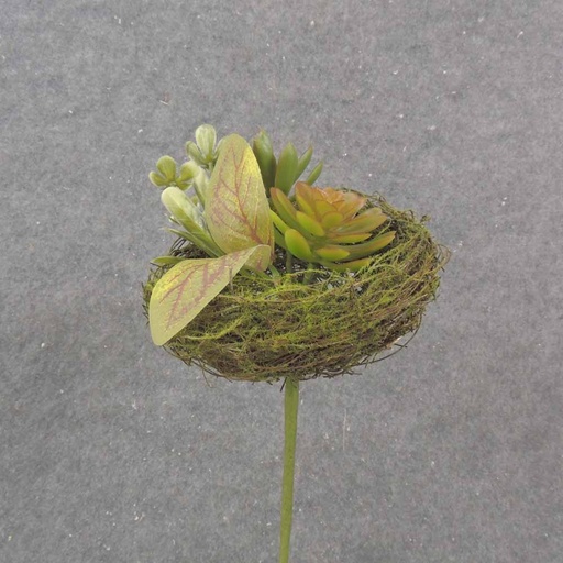 [SA1005] SUCCULENT & FOLIAGE IN 5.25" MOSS NEST W/PICK