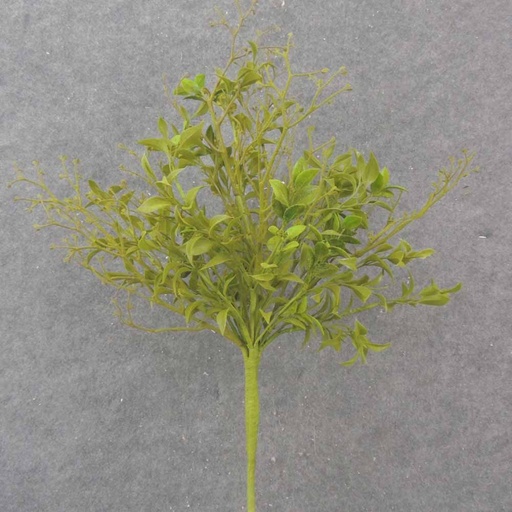 [SA1020] 24" MOSSY TEA LEAF BUSH