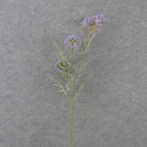 [SA1016-PUR] 34" THISTLE SPRAY X3 PURPLE