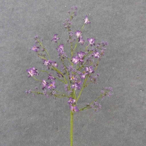 [SA1031-PUR] 28" BERRY & BLOSSOM SPRAY PURPLE
