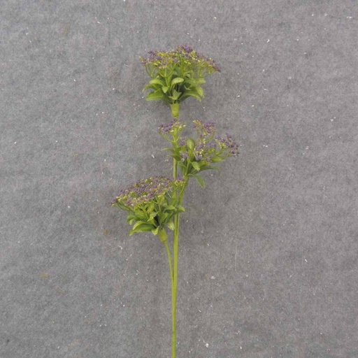 [SA1051-PUR] 23.5" QUEEN ANNE'S LACE SPRAY X3 PURPLE