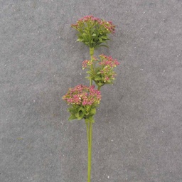 [SA1051-PNK] 23.5" QUEEN ANNE'S LACE SPRAY X3 PINK