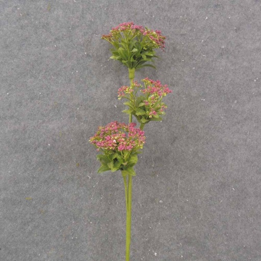 [SA1051-PNK] 23.5" QUEEN ANNE'S LACE SPRAY X3 PINK