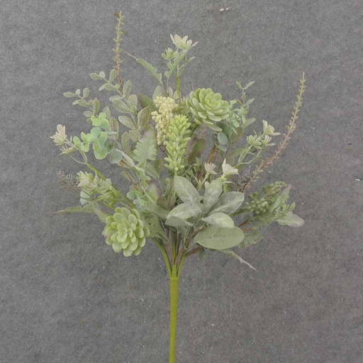 [SA1060] 22" EUCALYPTUS, SUCCULENT & MIXED FOLIAGE BUSH