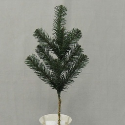 [XD4003-I] PINE SPRAY CANADIAN 17&quot; 9 TIPS 