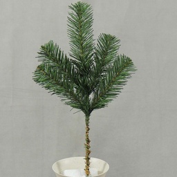 [XD4012-I] PINE SPRAY NORWAY 14&quot; 5 TIPS 
