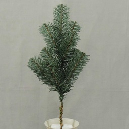 [XD4017-I] PINE SPRAY B/G NORWAY 17&quot; 9 TIP