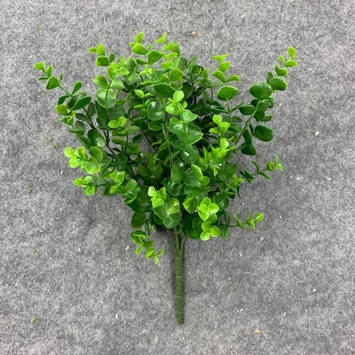 [SB8047-GRN] EUCALYPTUS PICK X5 15" PLASTIC GREEN