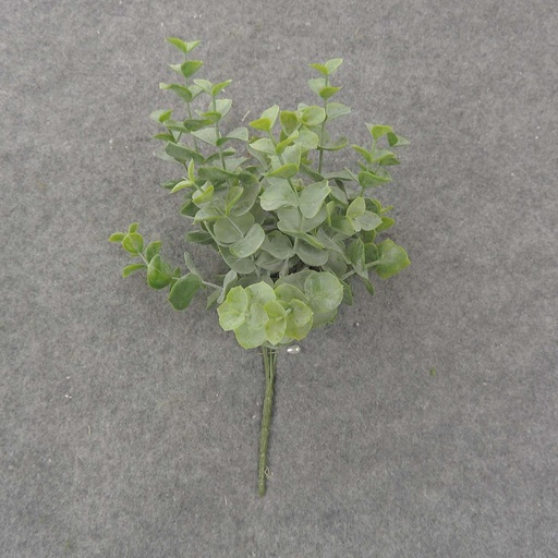 [SB8048-GRN] EUCALYPTUS PICK X3 9.5" GREEN