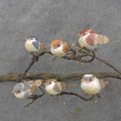 [BN1003] 2.75" MUSHROOM BIRD ASSORTMENT NEUTRAL W/CLIP