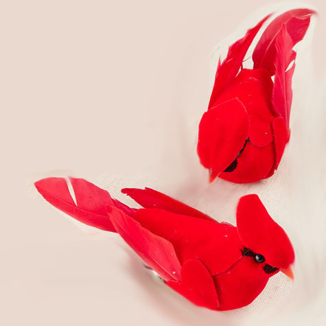 [BN1016] 4.75" FEATHER CARDINALS W/CLP
