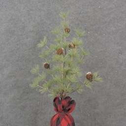 [XL1032-RBK] 18&quot; MING PINE TREE W/ CONES &amp; BUFFALO PLAID BALL BASE