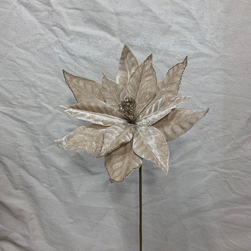 [XA1060] 20" VELVET POINSETTIA PICK CHAMPAGNE