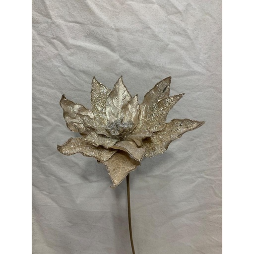 [XA1062-CHA] 20" GLITTER POINSETTIA PICK CHAMPAGNE