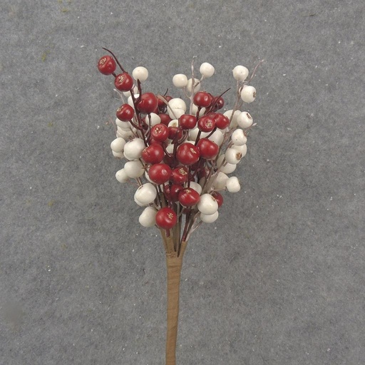 [XA1054] 15" BERRY PICK RED/WHITE
