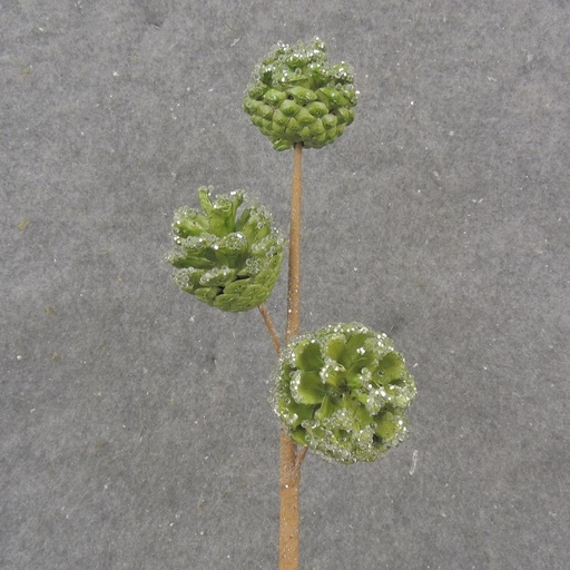 [XA1072-GRN] 13" PINECONE PICK X3 W/ ICE GREEN